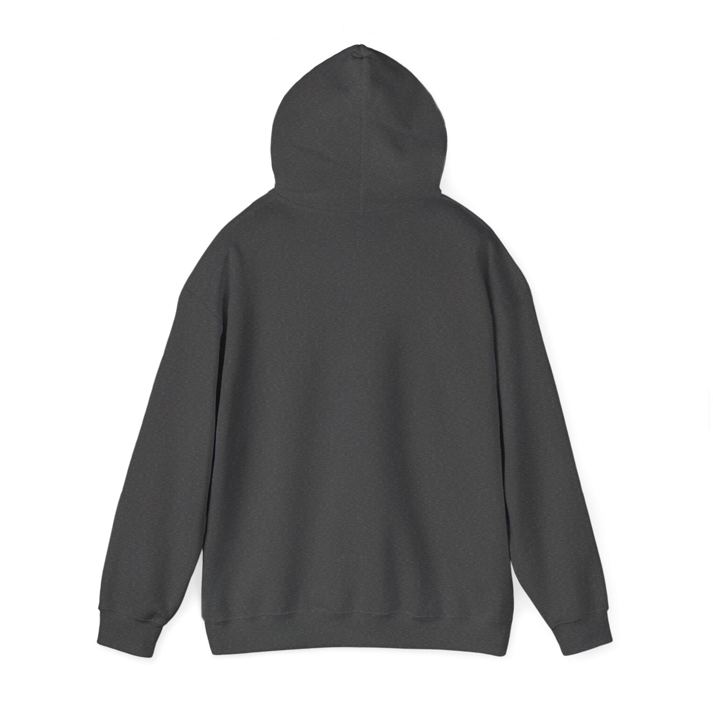 Believe Hoodie – Motivational Graphic Sweatshirt